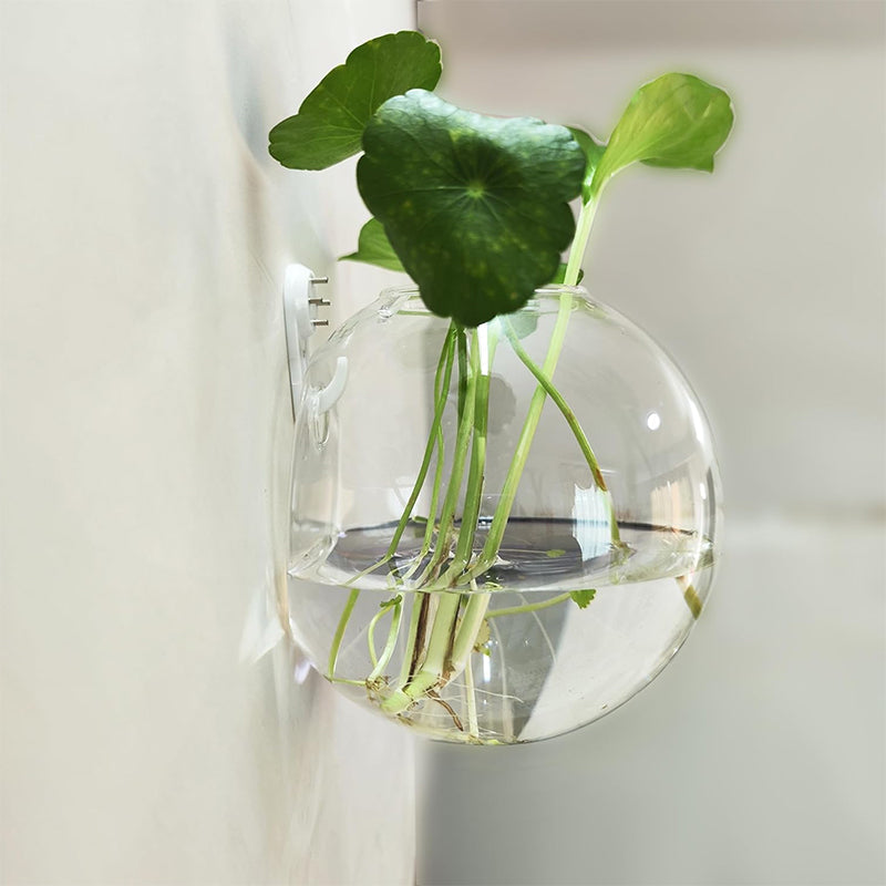 Creative Modern Wall Mounted Vase For Stylish Home Decor