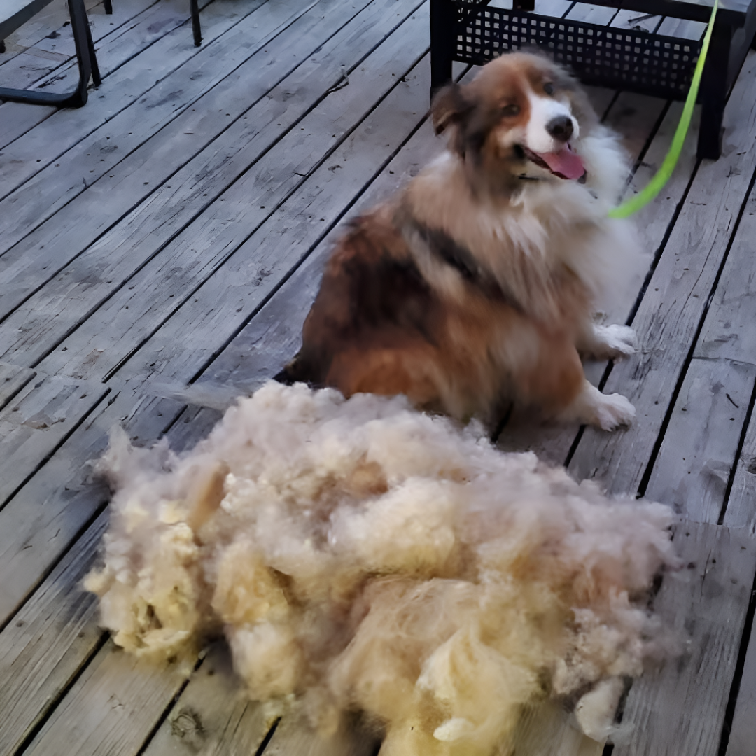 Pet Deshedding Brush For Effective Fur Removal And Grooming