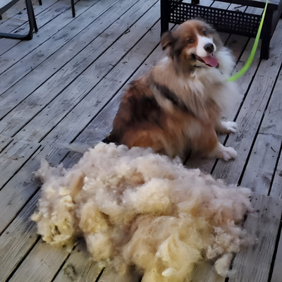 Pet Deshedding Brush For Effective Fur Removal And Grooming