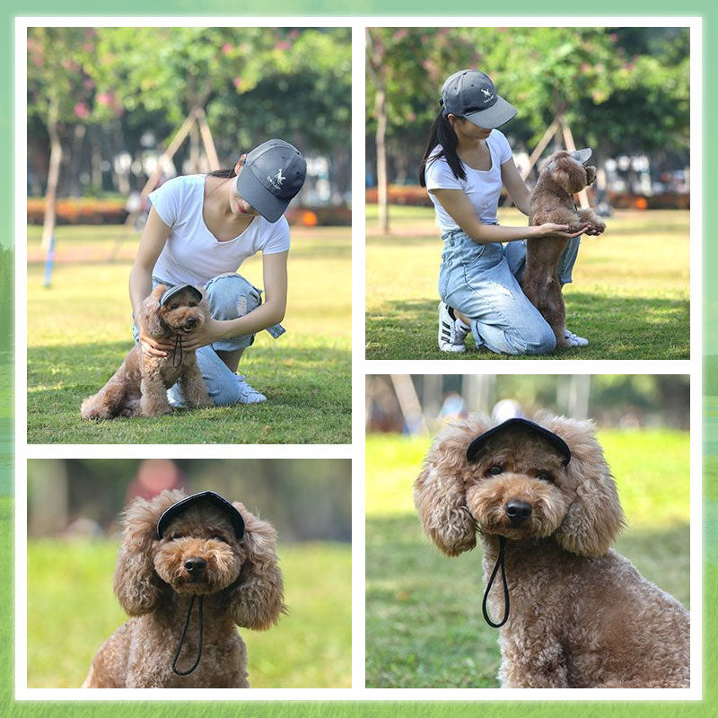 Outdoor Sun Protection Hood For Dogs Lightweight Breathable Pet Gear