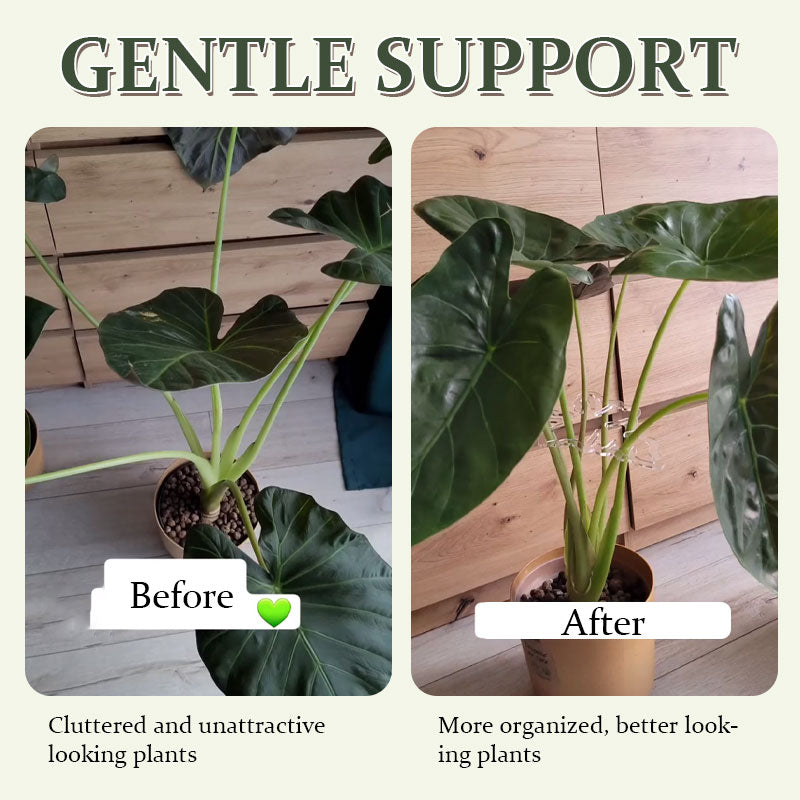 Turtle Shell Bamboo Plant Stem Support Clamp Set For Gardening