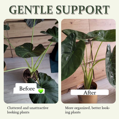 Turtle Shell Bamboo Plant Stem Support Clamp Set For Gardening