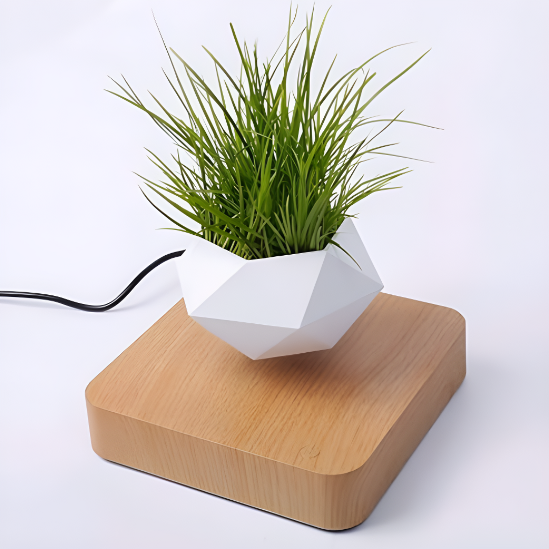 Magnetic Levitating Plant Pot Floating Air Bonsai Decor