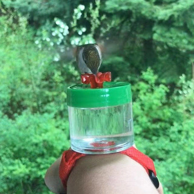 Hummingbird Feeder Garden Bird Nectar Feeder Outdoor Decor