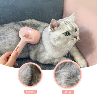 Pet Hair Remover Brush With Steam Cleaning Function
