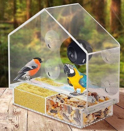 Window Bird Feeder With Live Camera For Close Bird Watching
