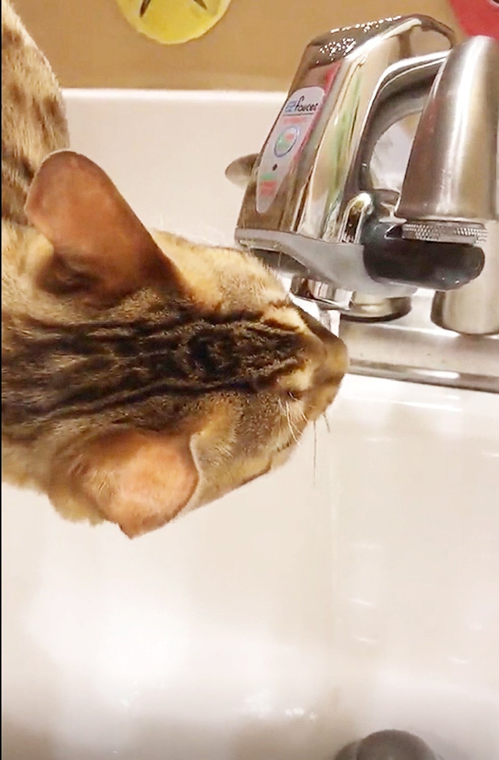 Automatic Sensor Faucet Adapter For Bathroom And Kitchen Sink Use