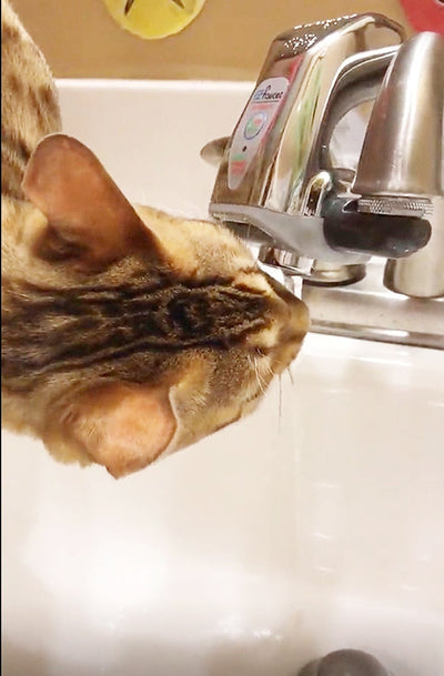 Automatic Sensor Faucet Adapter For Bathroom And Kitchen Sink Use