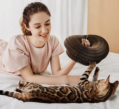 Foldable Cat Scratch Board With Bell Interactive Toy For Cats