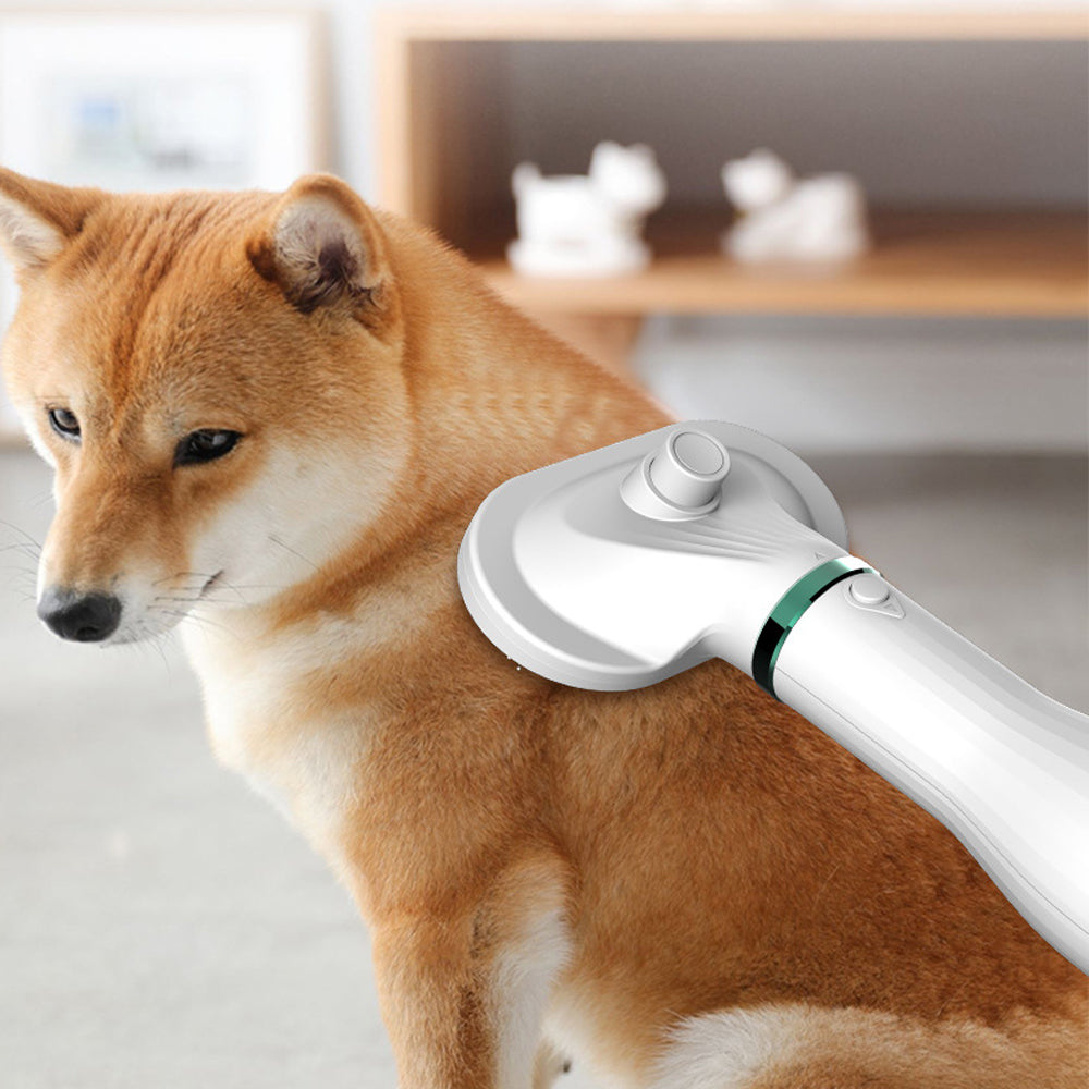 Pet Hair Dryer Comb Grooming Brush For Fast Drying
