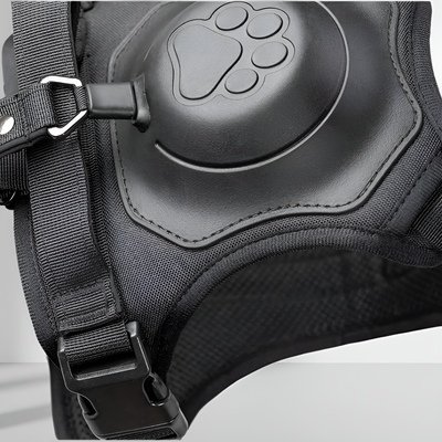 No-pull Dog Harness Adjustable Comfortable Walking Leash Set