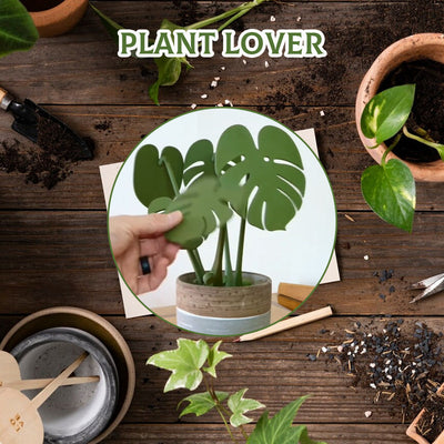 Plant Pots That Double As Coasters For Stylish Indoor Gardening