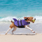 Dog Life Jacket With Handle For Safe Water Adventures