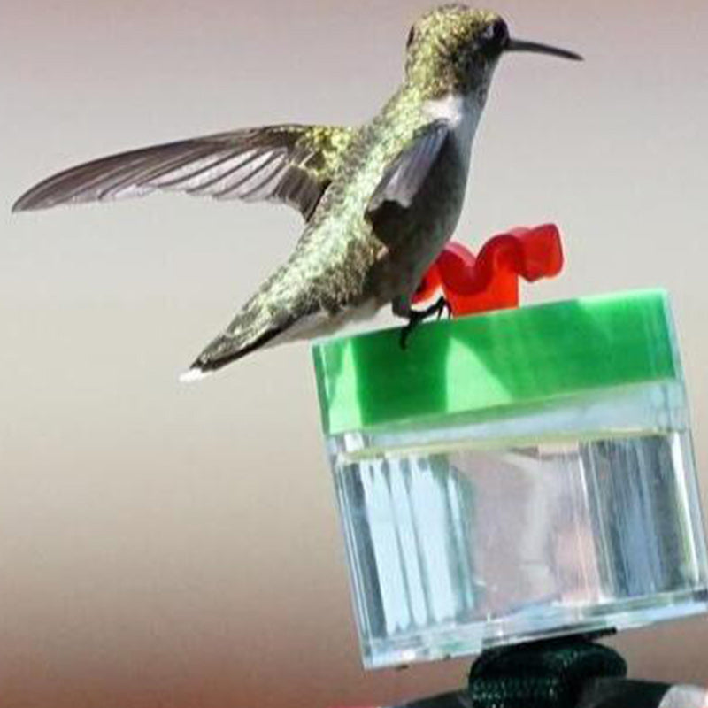 Hummingbird Feeder Garden Bird Nectar Feeder Outdoor Decor