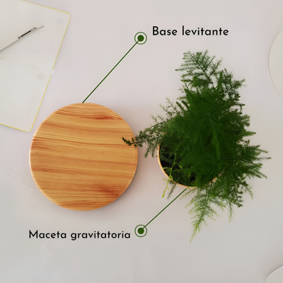 Magnetic Levitating Plant Pot Floating Air Bonsai Decor