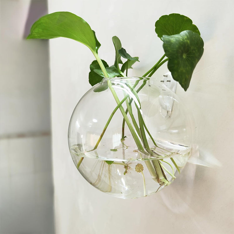 Creative Modern Wall Mounted Vase For Stylish Home Decor