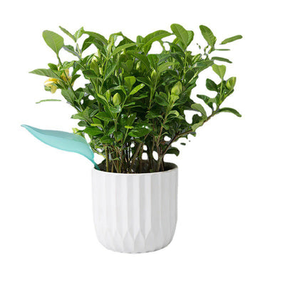 Plant Watering Funnel For Easy Precise Indoor And Outdoor Use
