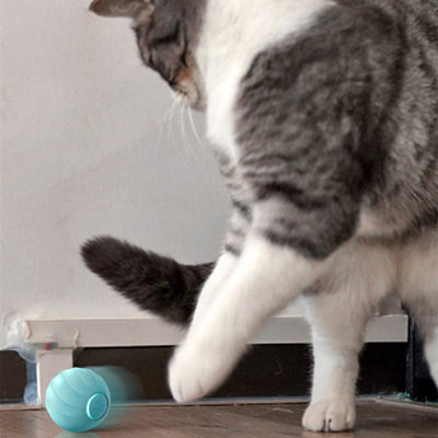 Interactive Cat Ball Toy For Engaging Play And Exercise