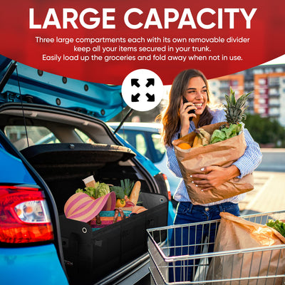 FORTEM SUV Trunk Organizer Collapsible Multi Compartment Storage Bag