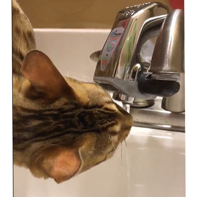 Automatic Sensor Faucet Adapter For Bathroom And Kitchen Sink Use