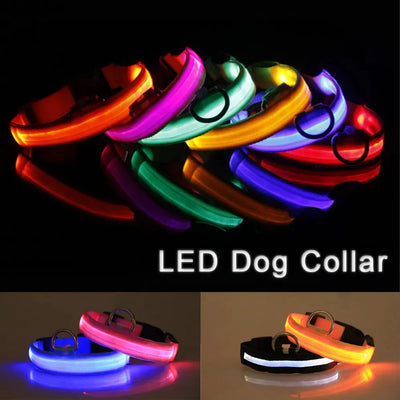 LED Dog Collar Adjustable Waterproof Blinking Safety Light For Pets