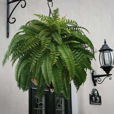 Artificial Boston Fern UV Resistant Lifelike Indoor Outdoor Plant Decor