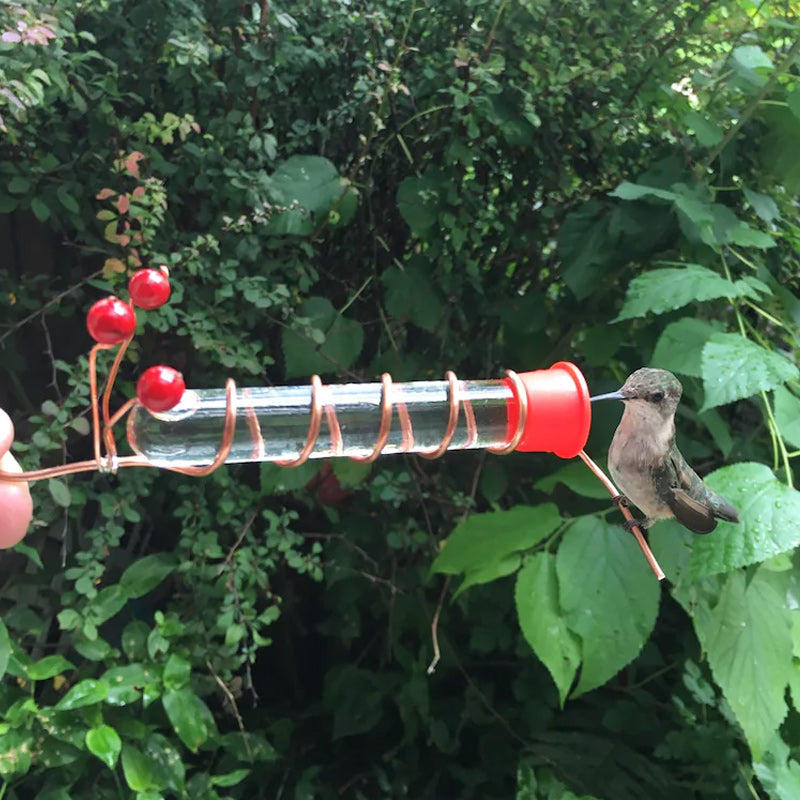 Hummingbird Feeder Garden Bird Nectar Feeder Outdoor Decor
