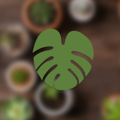 Plant Pots That Double As Coasters For Stylish Indoor Gardening