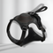 No-pull Dog Harness Adjustable Comfortable Walking Leash Set