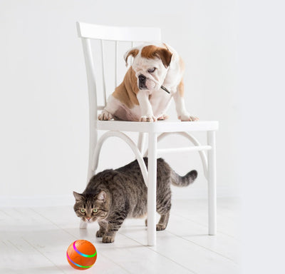 Automatic Cat Toy Ball USB Self Rotating Interactive Play Ball