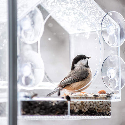 Window Bird Feeder With Live Camera For Close Bird Watching
