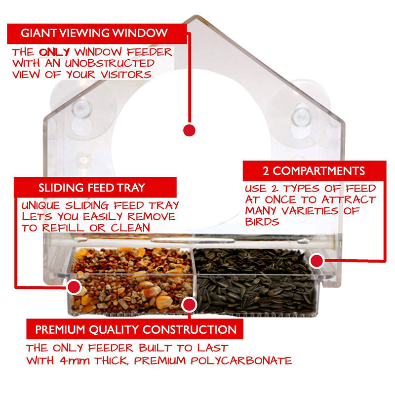 Window Bird Feeder With Live Camera For Close Bird Watching