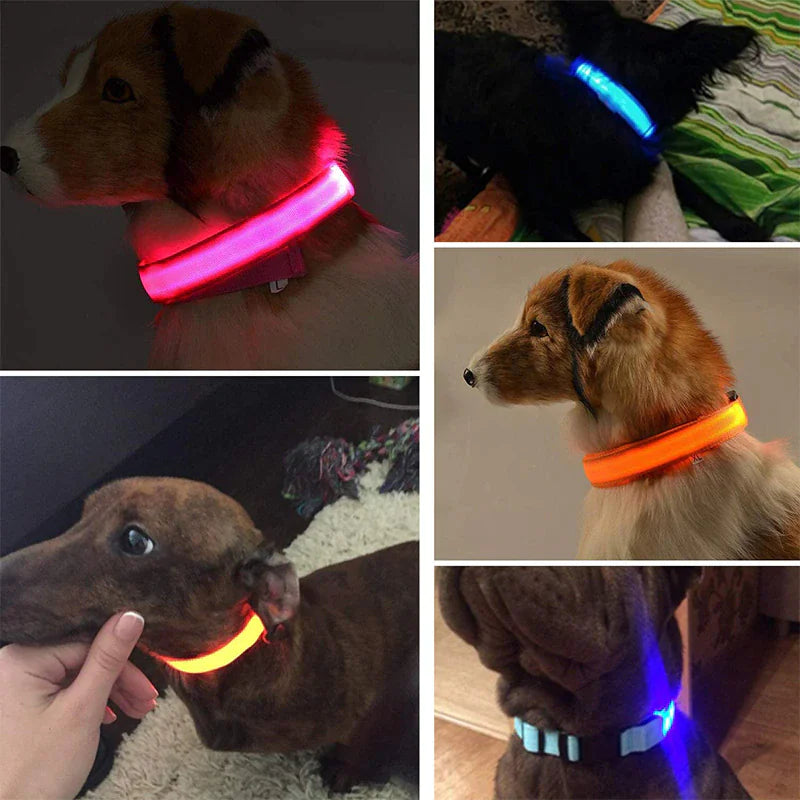 LED Dog Collar Adjustable Waterproof Blinking Safety Light For Pets