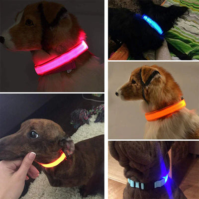 LED Dog Collar Adjustable Waterproof Blinking Safety Light For Pets