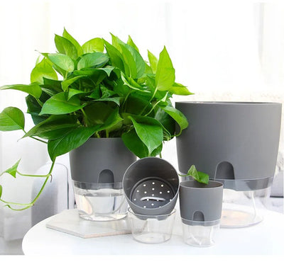Self-Watering Planter Transparent Dual-Layer Flower Pot With Rope Irrigation