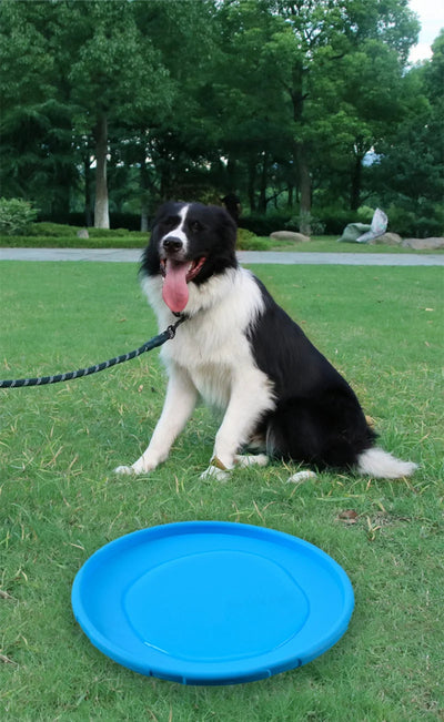 Silicone Dog Frisbee Interactive Flying Disc For Puppy Training Outdoor Play
