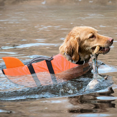 Dog Life Jacket With Handle For Safe Water Adventures