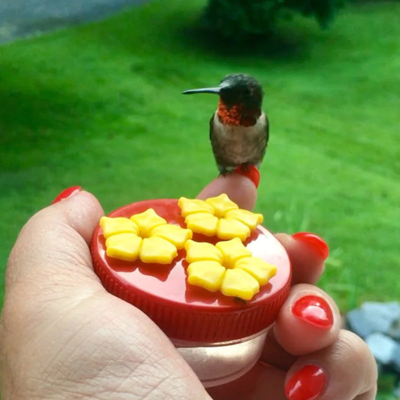 Hummingbird Feeder Garden Bird Nectar Feeder Outdoor Decor