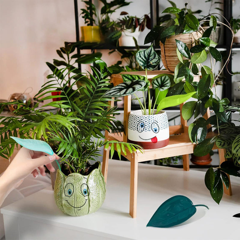 Plant Watering Funnel For Easy Precise Indoor And Outdoor Use