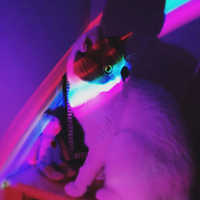 Rainbow Projection Lamp LED Night Light With 3 Modes For Kids Bedroom