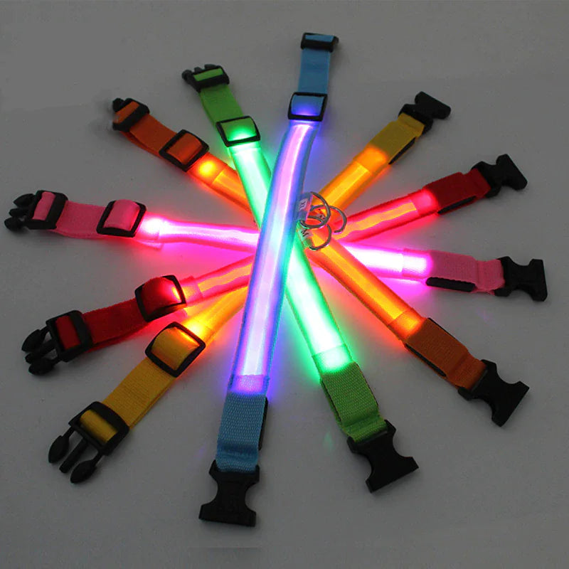 LED Dog Collar Adjustable Waterproof Blinking Safety Light For Pets