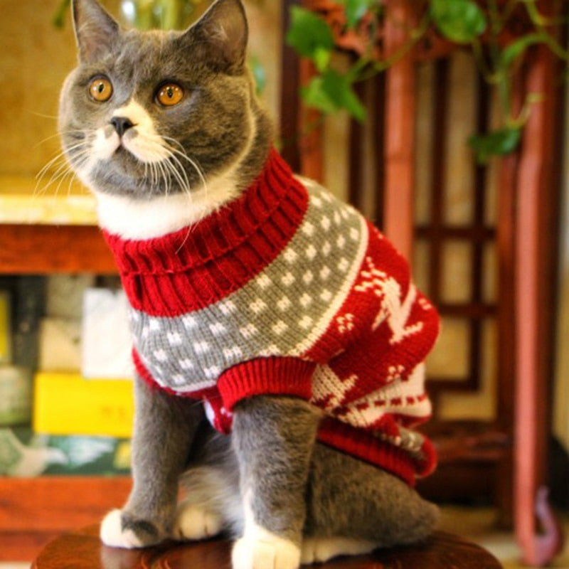 Cat Sweater Soft Comfortable Warm Knit For Pets And Owners