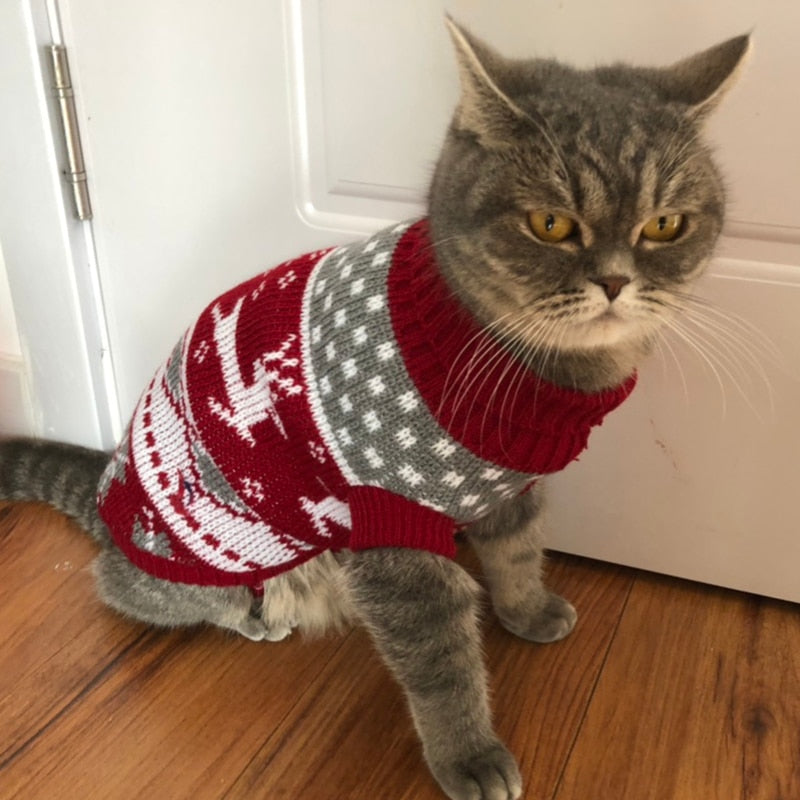 Cat Sweater Soft Comfortable Warm Knit For Pets And Owners