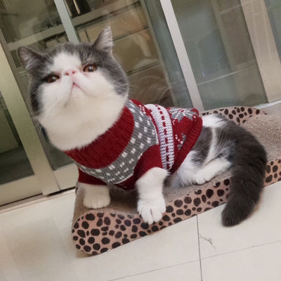 Cat Sweater Soft Comfortable Warm Knit For Pets And Owners