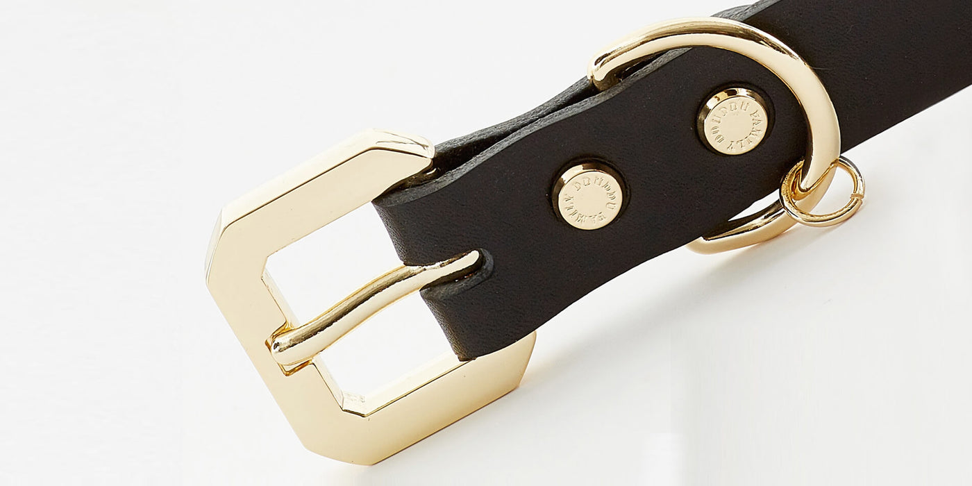 Golden Spike Leather Dog Collar Durable Stylish Black Design