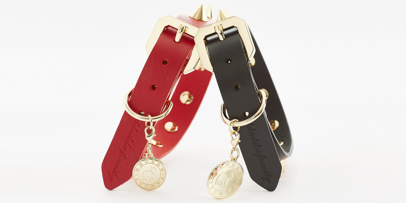 Golden Spike Leather Dog Collar Durable Stylish Black Design