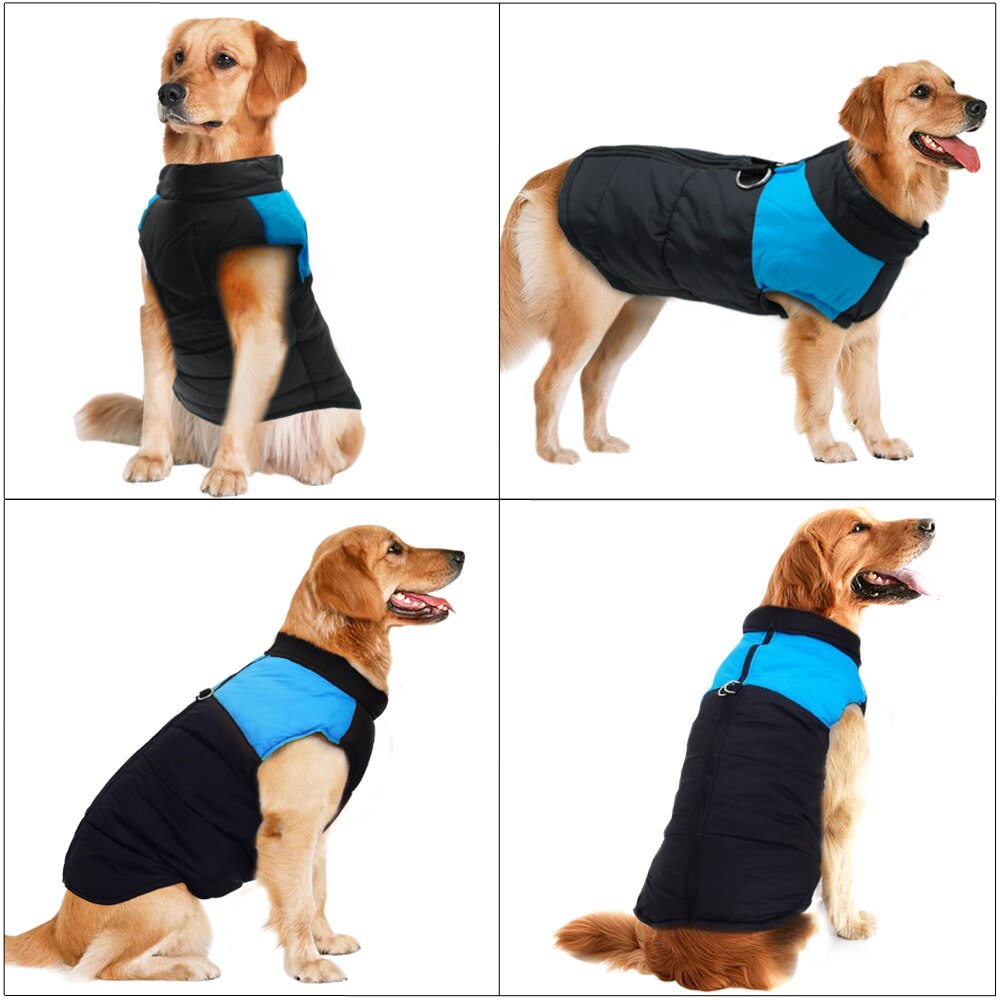 Dog Clothes For Large Dogs Comfortable Durable Outdoor Wear