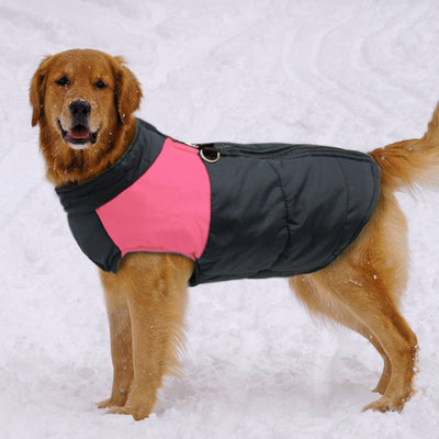 Dog Clothes For Large Dogs Comfortable Durable Outdoor Wear