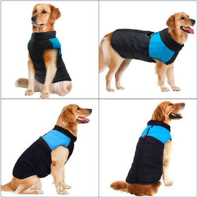 Dog Clothes For Large Dogs Comfortable Durable Outdoor Wear