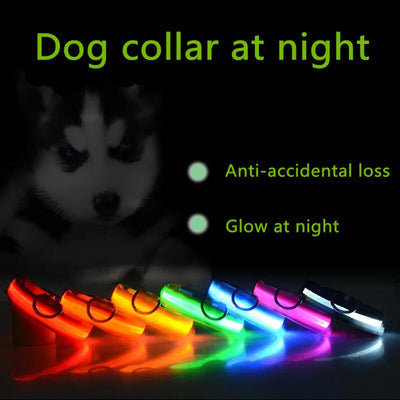 LED Dog Collar Adjustable Waterproof Blinking Safety Light For Pets